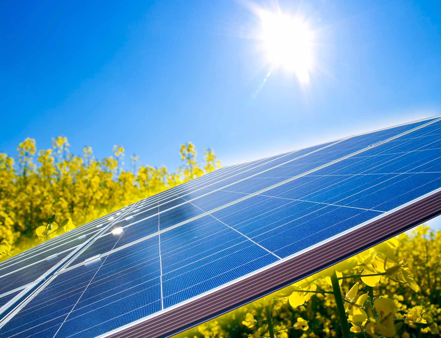 Support Coggon Solar Farm