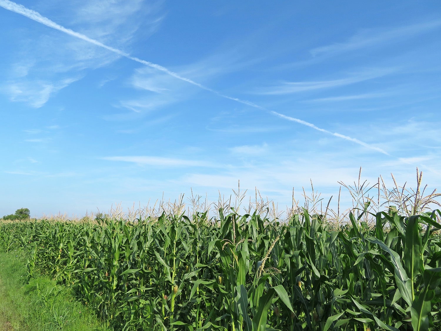 How Much Land Does Solar Really Use Bright Future Iowa